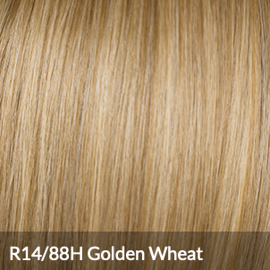 HairDo - Fring Top of Head Topper (4 Color Options)